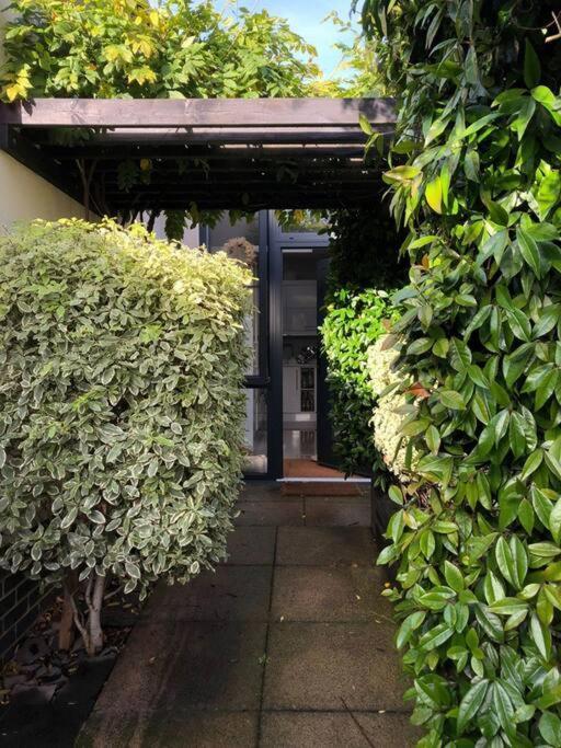 Private Garden Oasis In Central Bristol Bagian luar foto